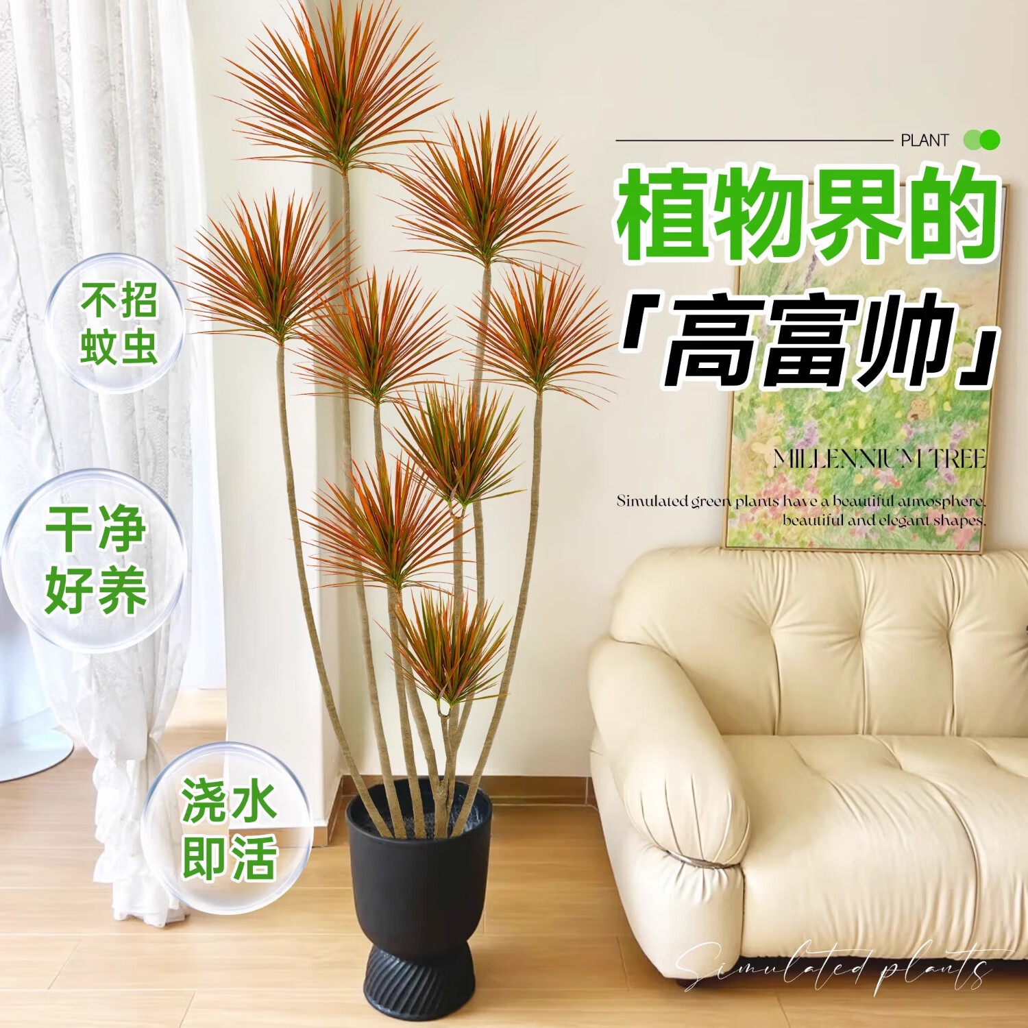 七彩铁盆栽网红植物千年木