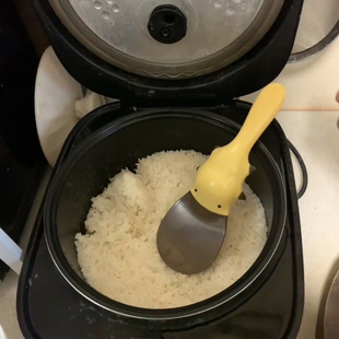 饭勺卡通可爱造型鸭嘴兽新款趣味勺子防烫厨房用品2025饭勺