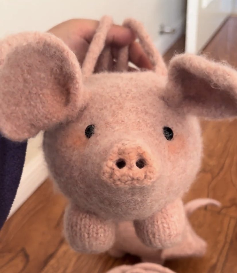 新款手工diy小猪包飞天小香猪手提包斜挎包送女友闺蜜礼物,模玩/动漫/周边/娃圈三坑/桌游,潮玩盲盒,淘宝优惠券,粉丝福利购,淘宝优惠卷