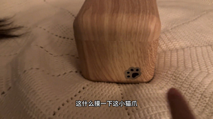 小猫咪躲猫猫趣味小灯氛围感创意可爱床头小夜灯儿童声控卧室