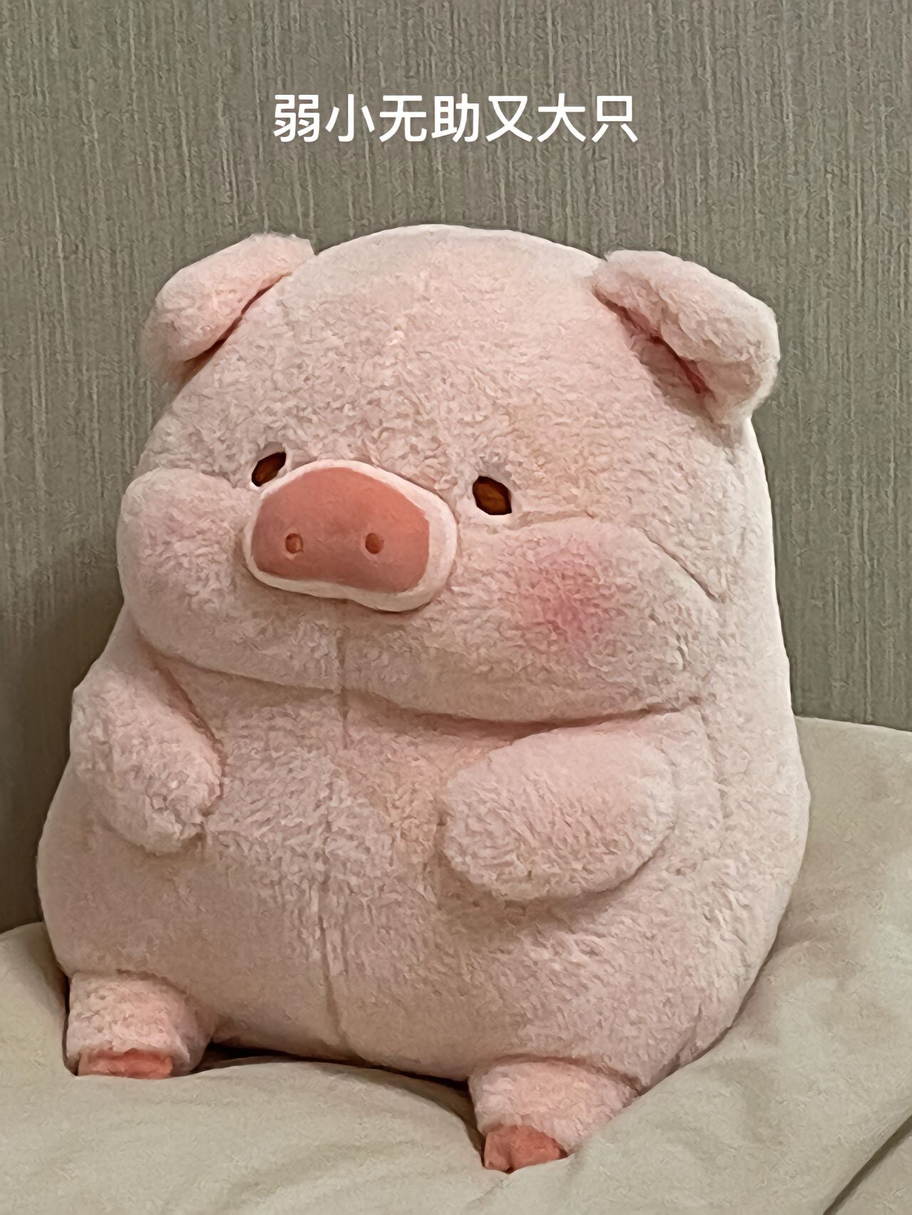 贪吃lulu猪毛绒玩具公仔卡通同款露露猪玩偶小猪面包猪生日礼物女