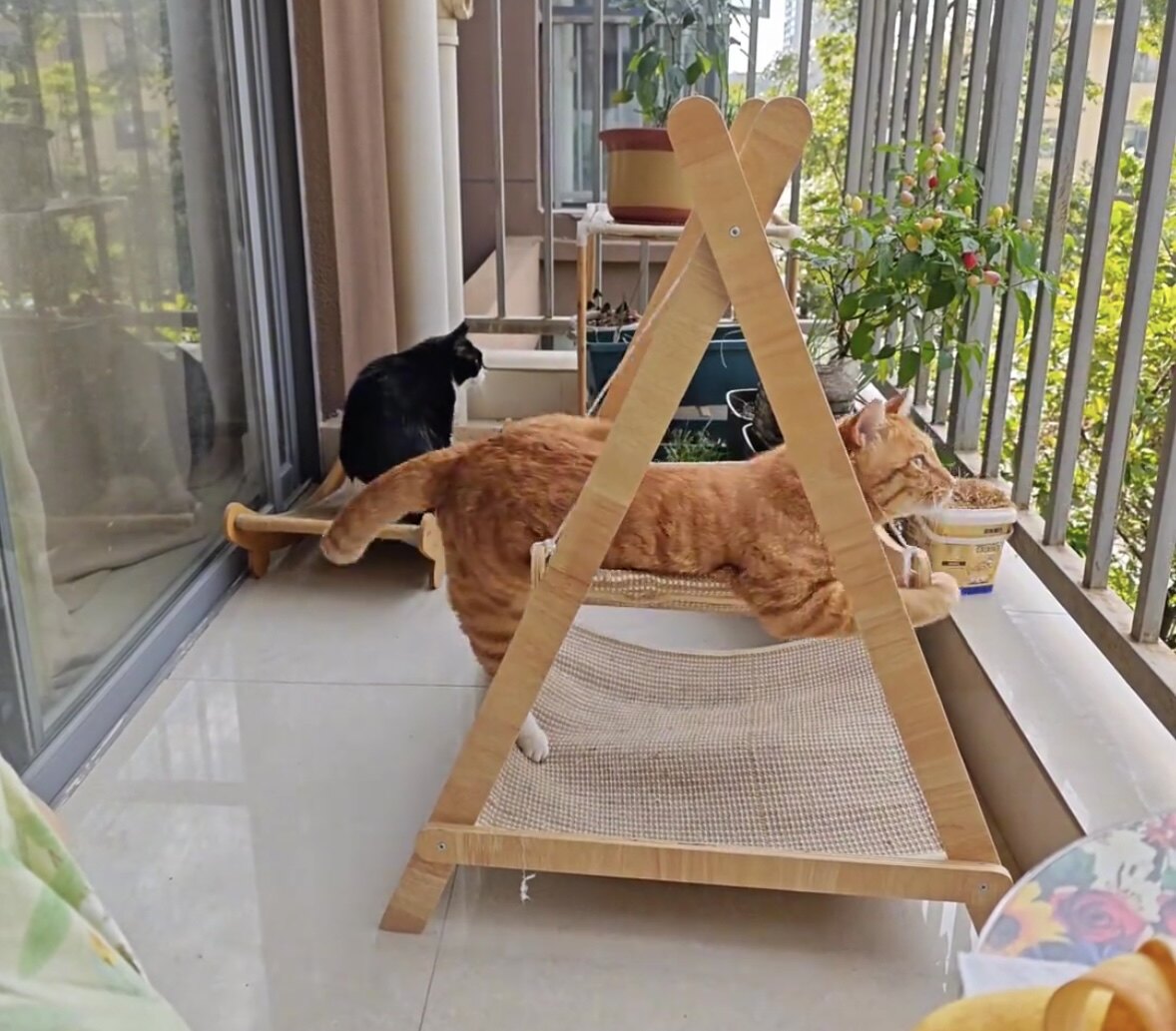 实木猫咪吊床摇篮床猫窝四季通用猫秋千猫猫吊床宠物摇摇床猫摇篮
