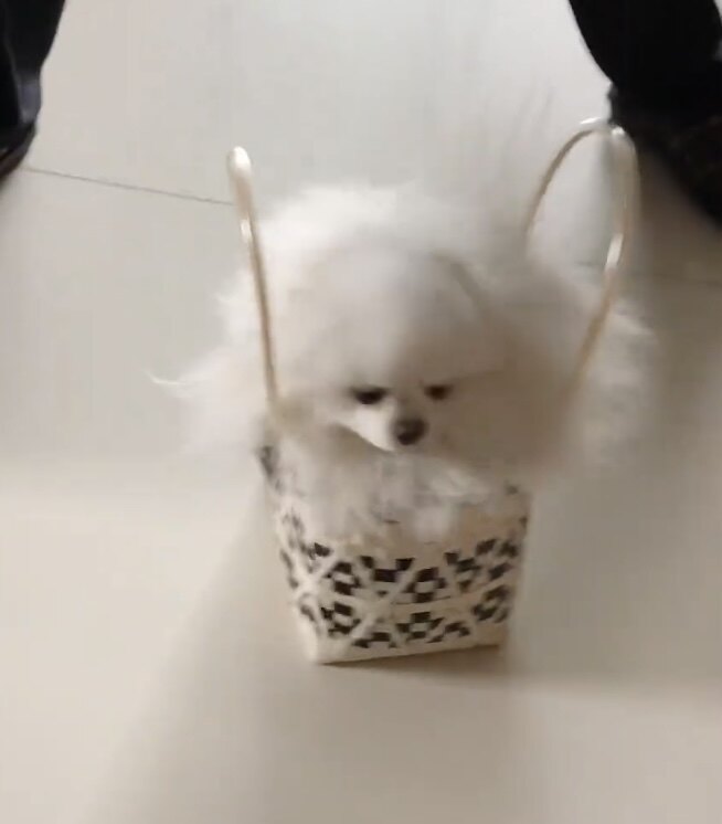 新款手工编织包托特包熊猫黑白格编织包女士手提包购物包沙滩包