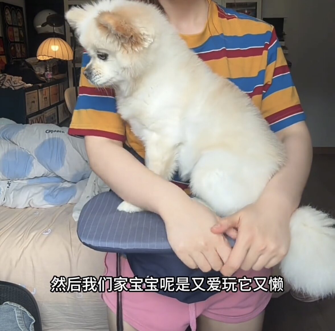 腰凳宠物猫狗通用小型犬坐凳便携式猫咪外出轻便背包遛猫遛狗