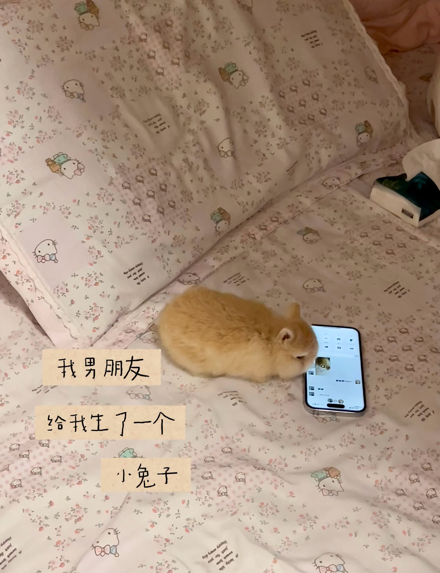 2026新款老粗布卡通小猫咪冬暖夏凉床单单件学生宿舍冰丝席三件套