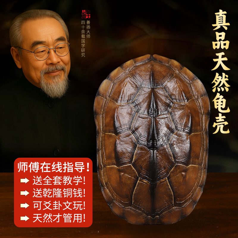 天然龟壳摇卦工具文创铜钱摆件