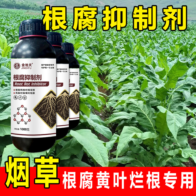 煙草專用根腐抑制劑防治爛根黃葉