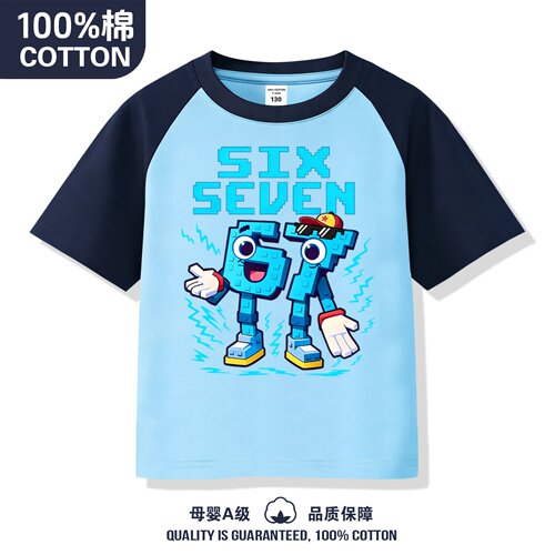 StealaBrainrot衣服67短袖t恤