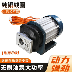 电动三轮车油泵电机大功率永磁无刷中置电动机马达1500W3000W配件
