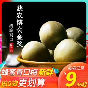 莫干山获金奖蜂蜜青口梅酸爽青梅果清脆梅子散装 晕车孕吐零食