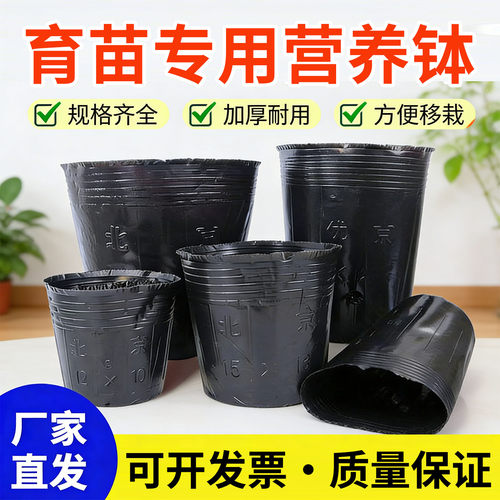【源头厂家】育苗杯营养杯批发