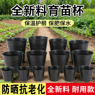 育苗杯营养钵育苗盆营养杯种植袋黑色农用抗老化加厚营养袋育苗袋