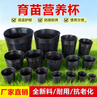 营养杯育苗杯营养钵育苗塑料花盆加厚一次性农用槟榔袋育苗袋花盆