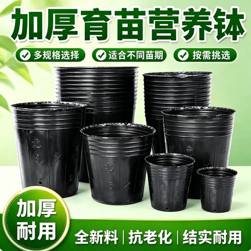 全新料黑色营养钵育苗杯