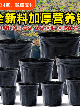 营养钵育苗盆营养杯育苗杯种植袋黑色农用抗老化简易营养袋育苗袋