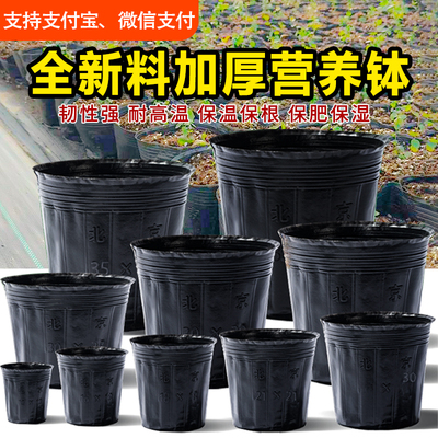 全新料育苗杯加厚抗老化