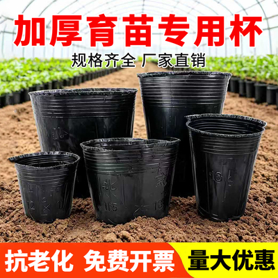 育苗杯营养钵育苗盆营养杯种植袋黑色农用抗老化加厚营养袋育苗袋