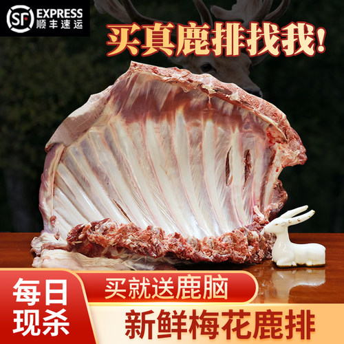 新鲜鹿排切断精排鹿场直销