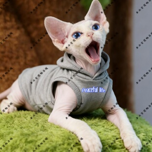 Peaceful life萌宠猫衣服宠物服装红色圆领灰色黑色连帽卫衣