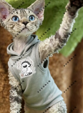 抱笑喵星人两脚衣猫咪萌宠猫衣宠物红色圆领灰色黑色连帽卫衣