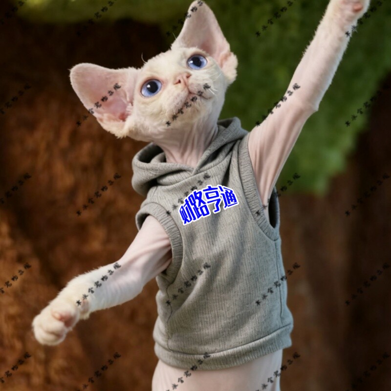 财路亨通两脚衣猫咪萌宠猫衣服宠物服装红色圆领灰色黑色连帽卫衣