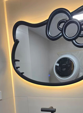 kty猫咪镜子不规则艺术异形洗漱镜卫生间创意卧室台面化妆镜小众