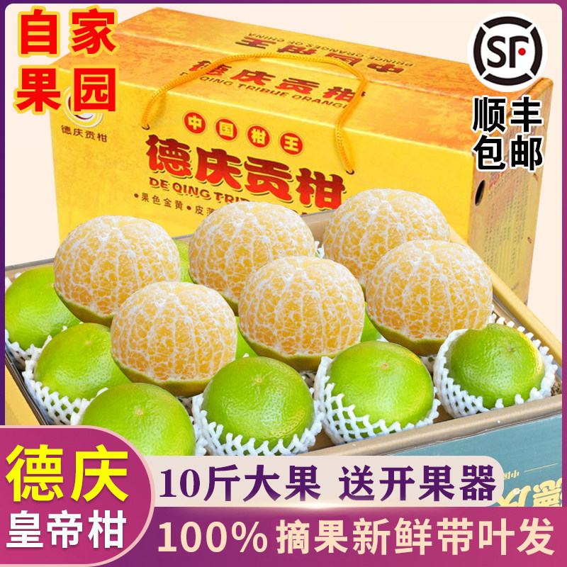 正宗德庆皇帝柑新鲜贡柑当季水果广东桔甜橘子大10斤5礼盒装顺丰