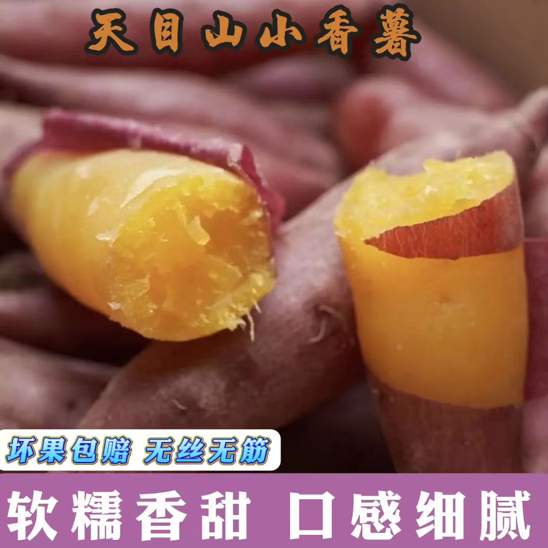 天目山小香薯旗舰店现挖