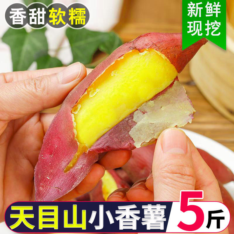 天目山小香薯正宗新鲜黄