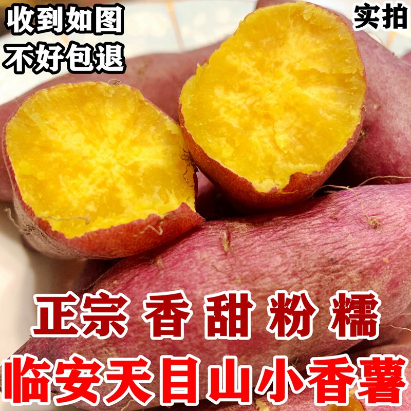 正宗临安天目山小香薯海