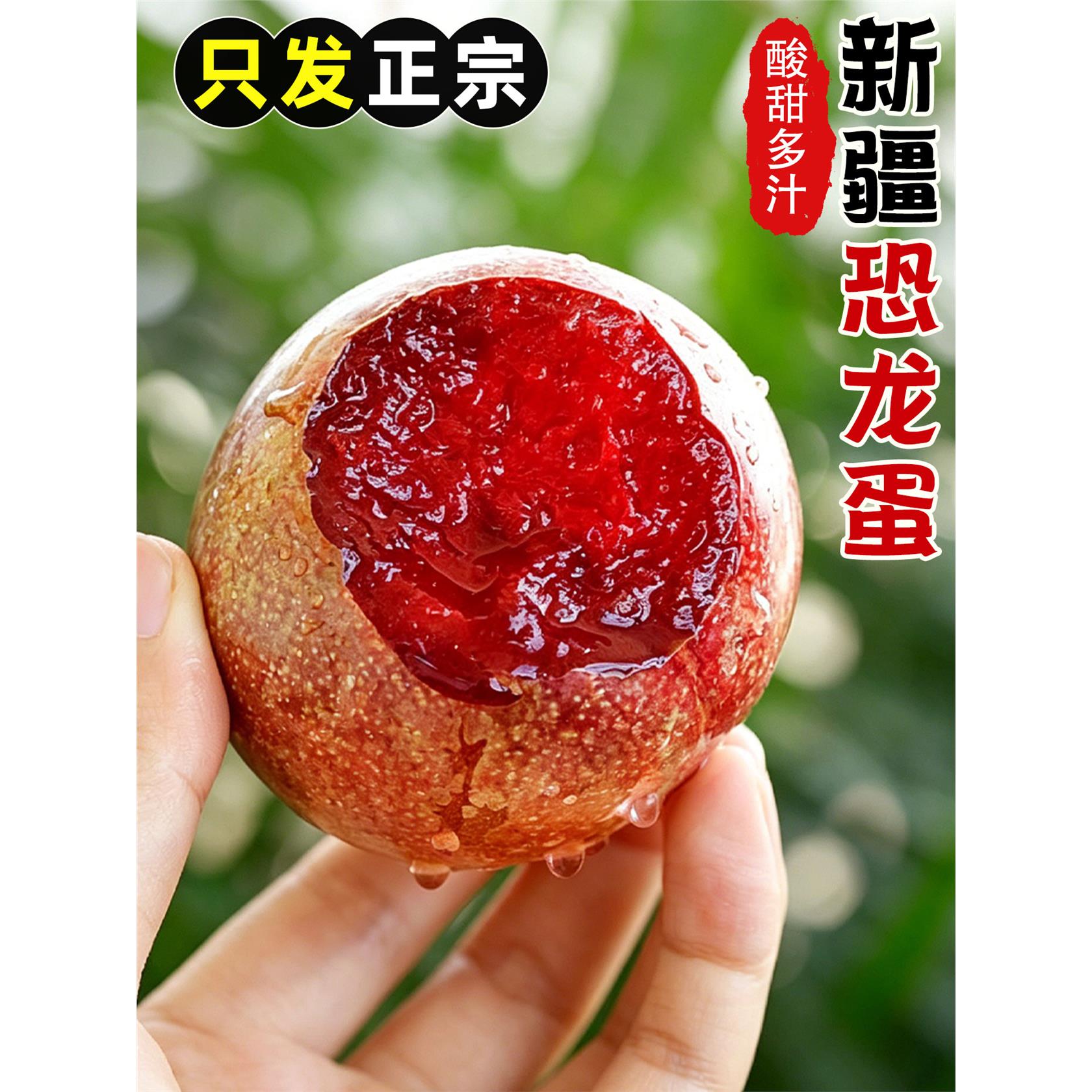 正宗新疆恐龙蛋李子新鲜