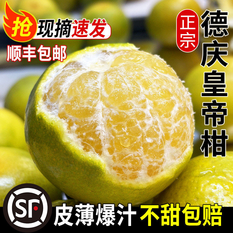 正宗德庆皇帝柑香甜新鲜现摘贡柑礼盒10斤大果孕妇水果有机甜橘子