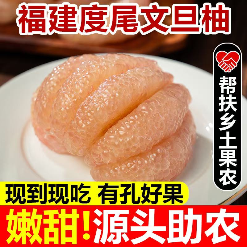 福建莆田仙游度尾文旦柚