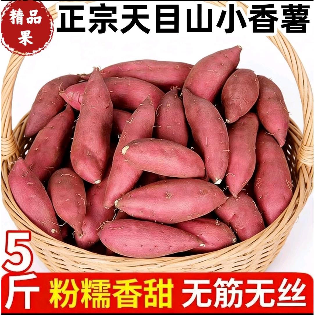 正宗临安天目山小香薯旗