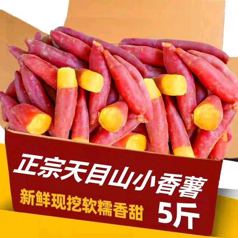 临安天目山小香薯拇指小