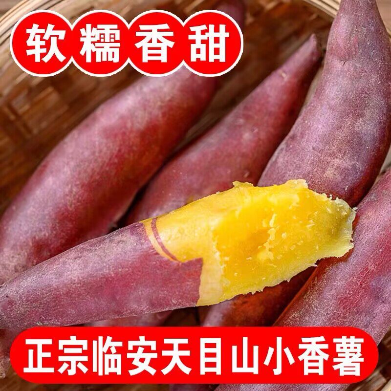 临安天目山小香薯5斤新鲜
