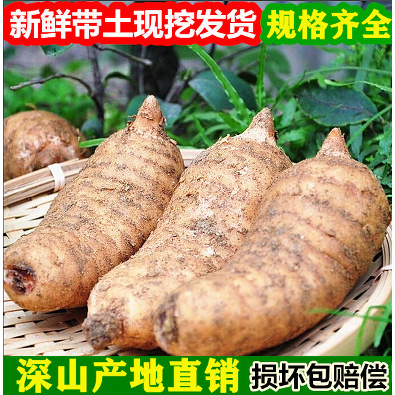 现挖秦岭新鲜天麻冬麻干天麻片中药材野外种植天麻滋补非云南天麻