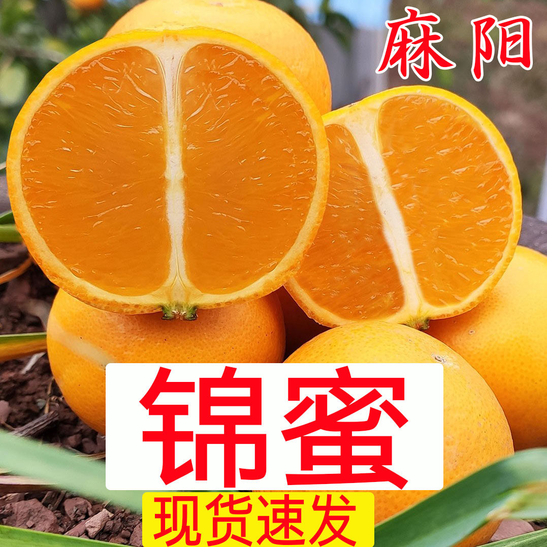 正宗锦蜜冰糖橙麻阳超甜现摘新鲜水果湖南褚甜橙柑橘子橙子5/10斤
