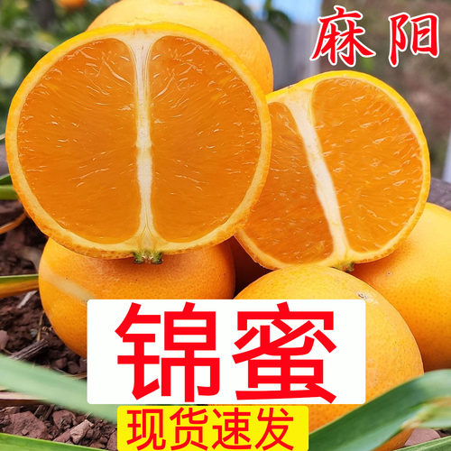 正宗锦蜜冰糖橙麻阳超甜现摘新鲜水果湖南褚甜橙柑橘子橙子5/10斤