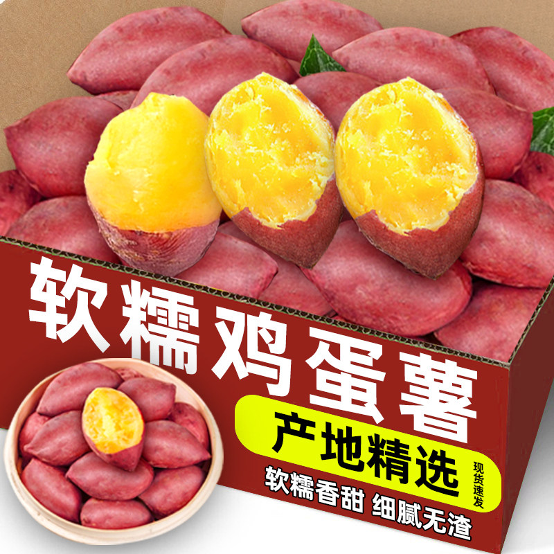香甜鸡蛋薯新鲜小天目山