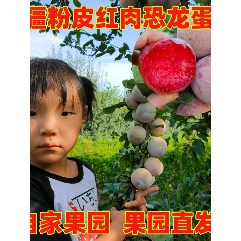 新疆晚熟恐龙蛋红肉风味
