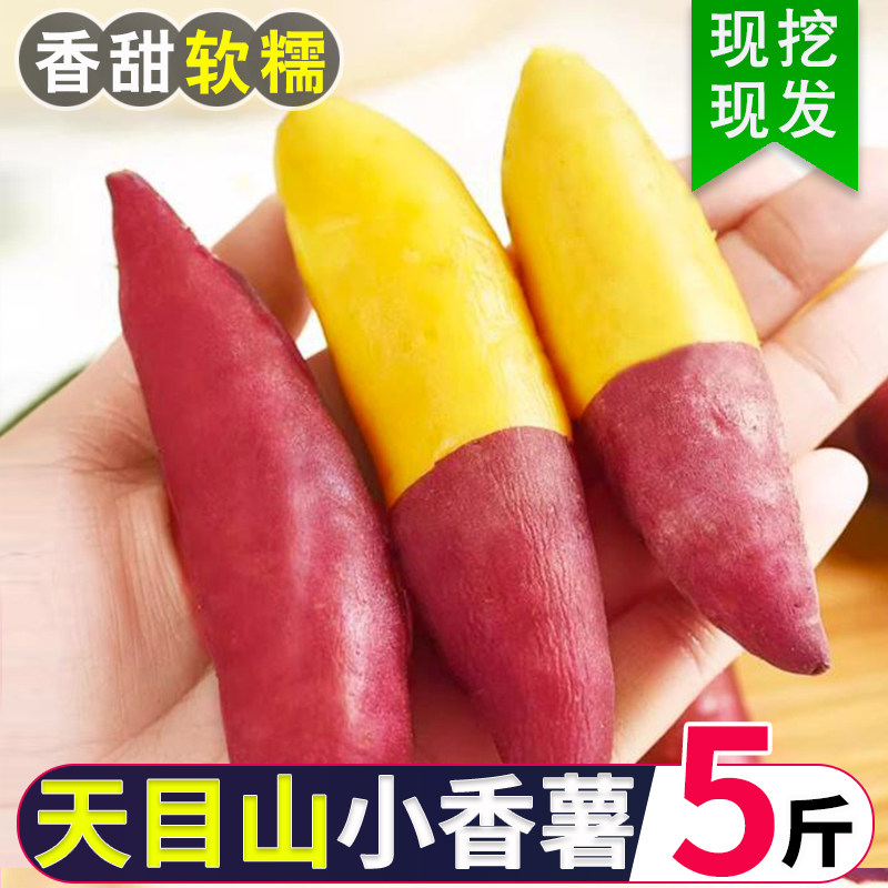 临安天目山小香薯正宗板