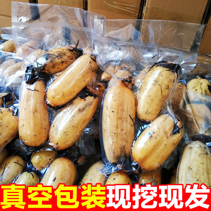 真空包装现挖莲藕新鲜5斤包邮脆藕香糯煲汤粉藕糯米洪湖白藕蔬菜