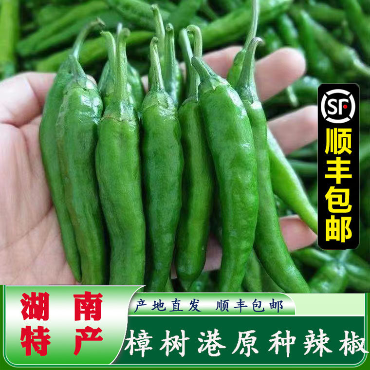 湖南樟树港辣椒新鲜当季现货