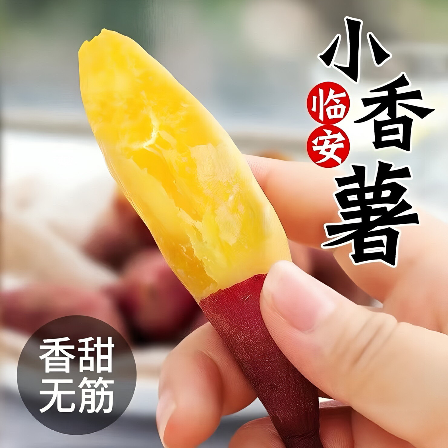 天目山小香薯板栗红薯正