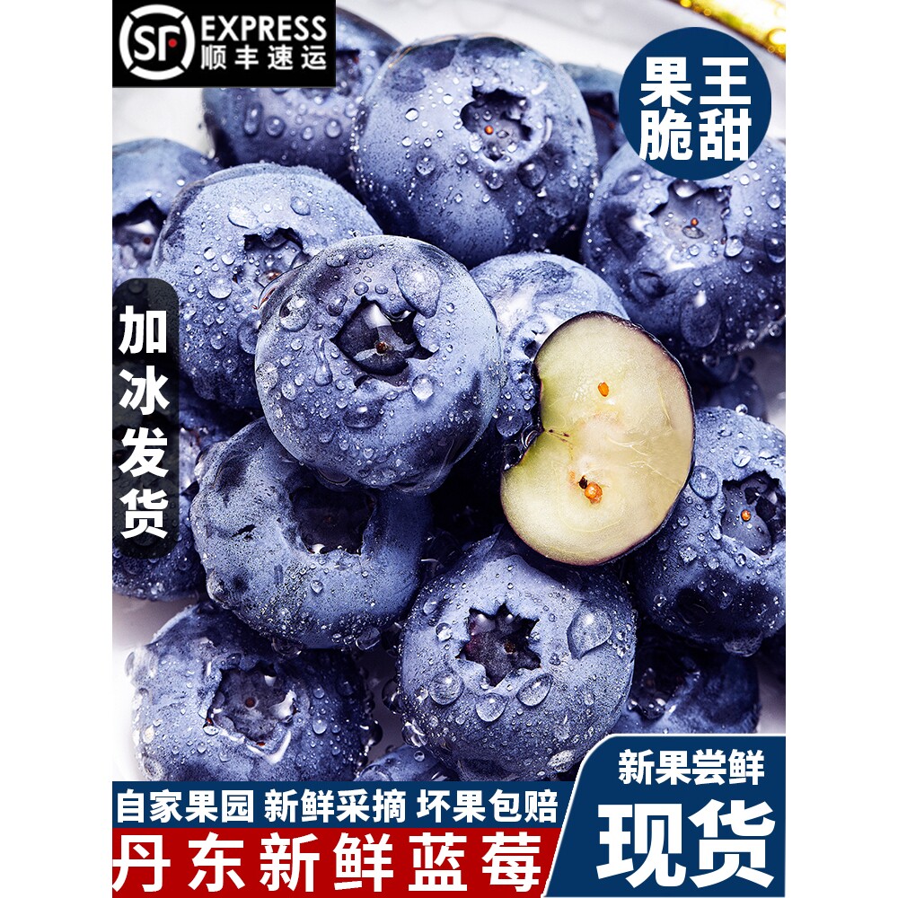 丹东新鲜蓝莓鲜果现摘宝宝辅食孕妇新鲜水果脆甜花香个大营养丰富