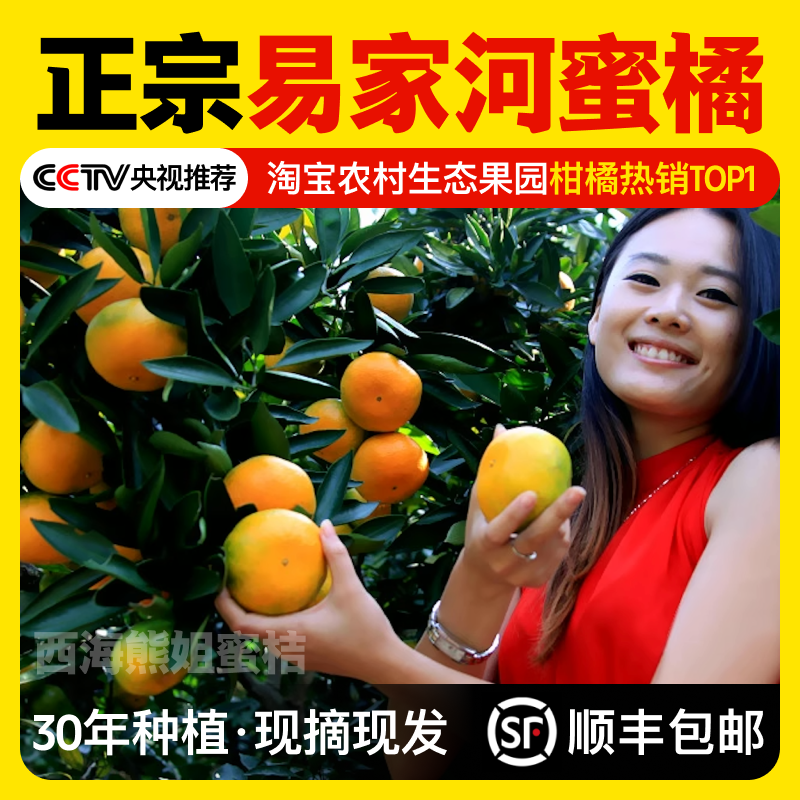 正宗江西庐山西海易家河现摘特早无核桔子新鲜上市甜过涌泉蜜桔