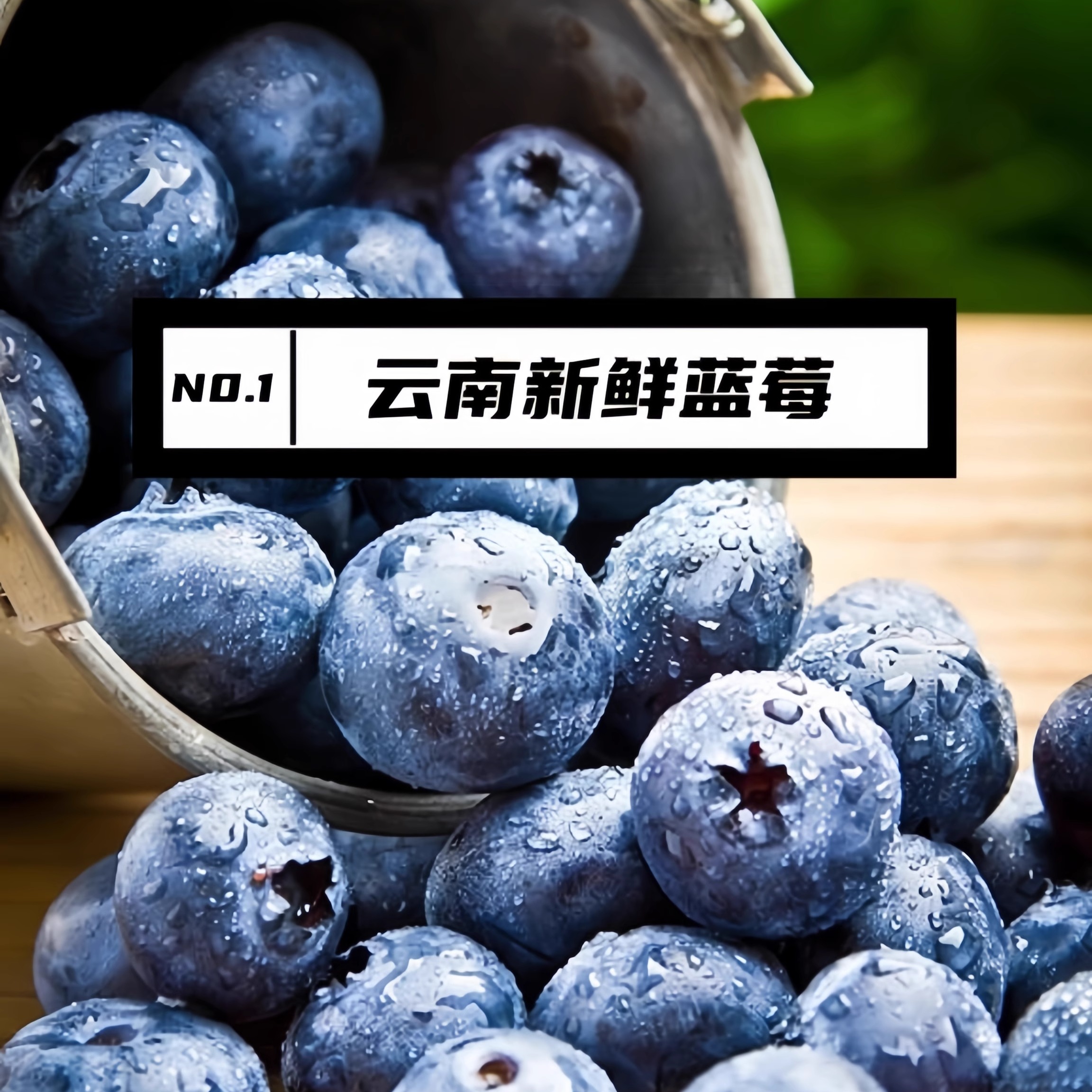 〔顺丰包邮〕云南蓝莓大果L11脆甜花香蓝莓新鲜基地直发