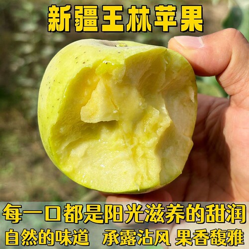 新疆阿克苏王林苹果青甜公主青苹果脆甜顺丰初代