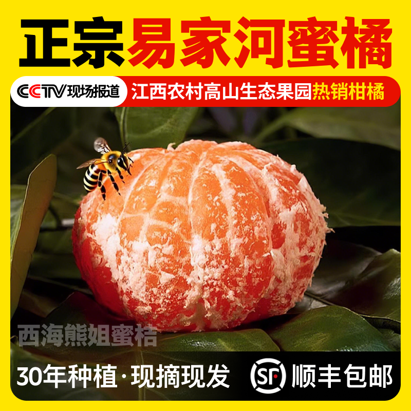 正宗庐山西海易家河当季新鲜蜜桔现摘桔子非涌泉蜜橘包邮坏果包赔